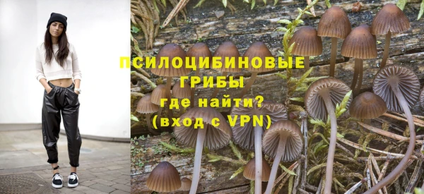 твердый Алексеевка