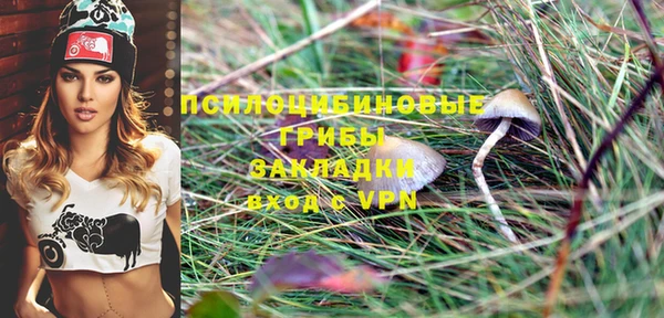 ALPHA-PVP Алексин