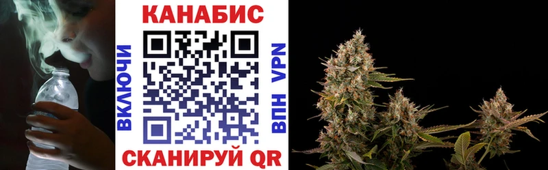 Бошки марихуана конопля  blacksprut как войти  Елизово 